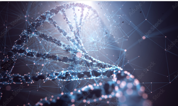 Fenómeno de Evolución