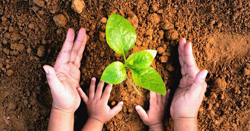 La era de la Educación ambiental para el desarrollo sostenible