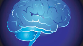 Timeline: Human brain