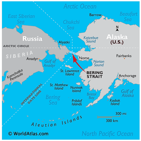 Migration through the Bering Strait