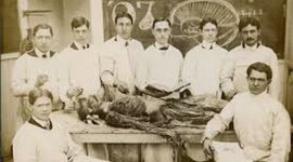 Timeline: Historia de la medicina legal.
