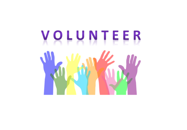 Volunteer