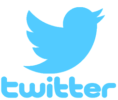 LA LLEGADA DE TWITTER