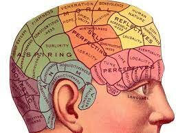 Neurociencias en la actualidad.