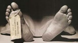 Timeline: Eventos históricos de la medicina forense