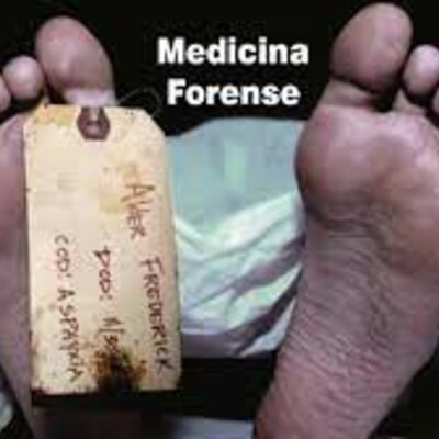 Timeline: Historia de la Medicina Forense