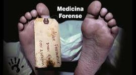 Timeline: Historia de la Medicina Forense
