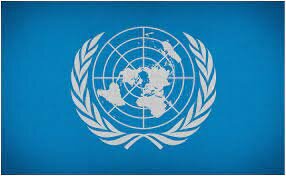 Organización de las Naciones  Unidas (ONU)