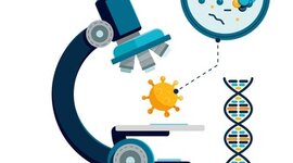 Timeline: Historia del Microscopio Óptico