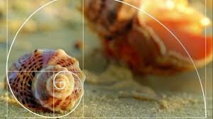 La divina proporcion