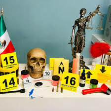 Medicina legal en Mexico