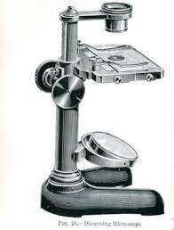 Microscopio de disección Leitz Wetzlar