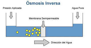Ósmosis