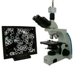 Microscopio de campo obscuro
