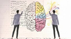 Timeline: Historia Neurociencia de la conducta