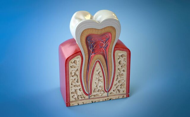 DEFINICIÓN DE PERIODONTO