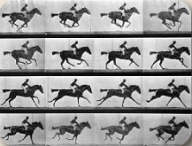 Movimiento congelado