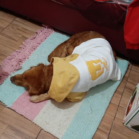 Mi mejor amiga enfermo y partió