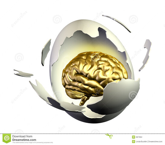 Nacimiento de la idea