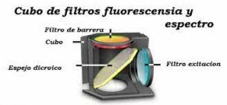 Köhler y Siedentopf