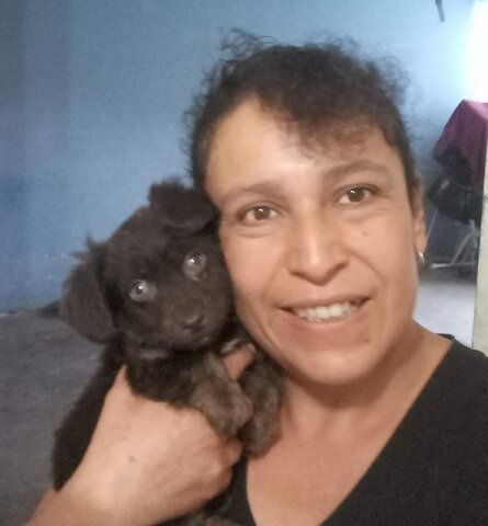 Llegó Chocolate a mi vida