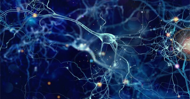 Surgimiento del Sistema Nervioso hace 600 millones de años