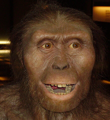 Homínido Australopithecus hace 4 millones de años