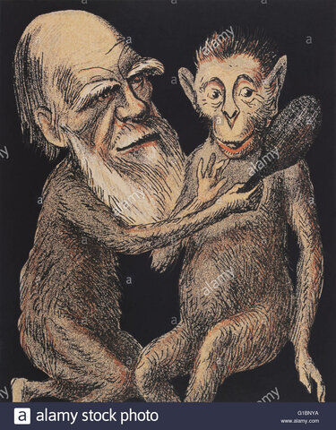 Teoria de las especies