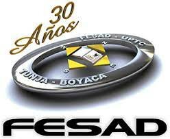 Estructuración FESAD
