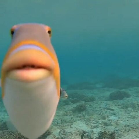 first trip to the sea