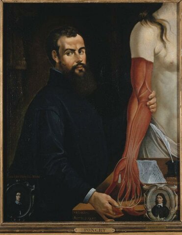De humani corporis fabrica