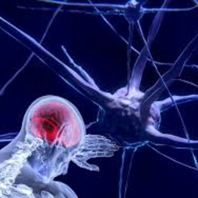 Timeline: Neurociencias