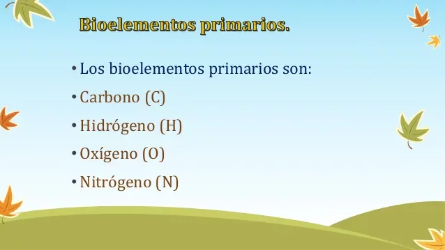 Bioelemento