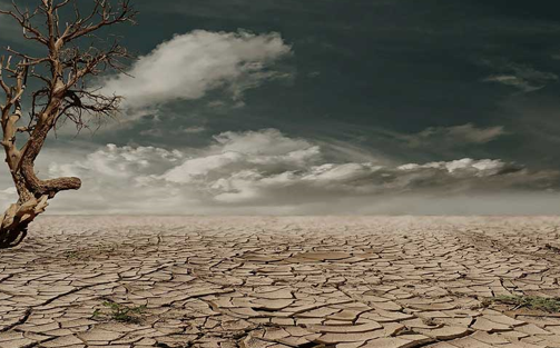 Mediterranean cultures