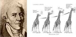 Jean-Baptiste de Monet de Lamarck