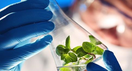 Environmental Engineering in Colombia