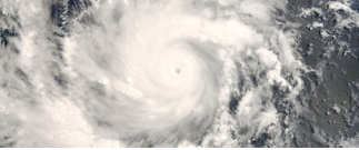 The phenomenon of the child