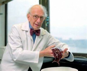 Investigaciones de Kandel sobre biología de la memoria