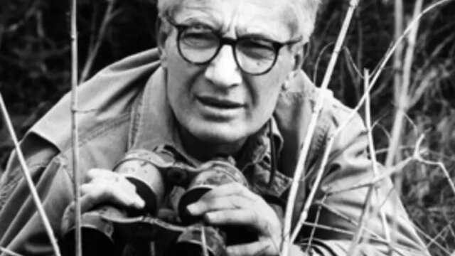 Nikolaas Tinbergen