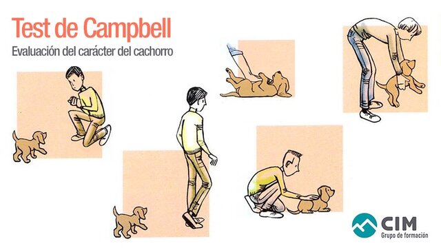 Test de Campbell