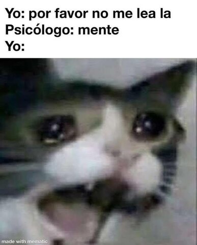 Entré a la carrera que quería