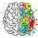 Libros neurociencia