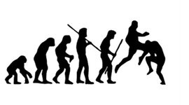 Timeline: Criação das Lutas ao longo da história