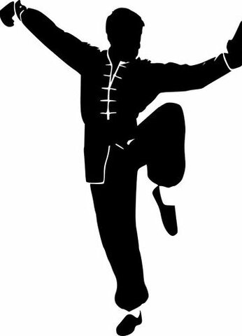 Kung fu