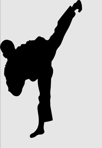 Taekwondo