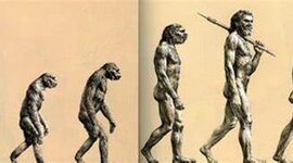 Timeline:  Ideas y teorías de la evolución de la vida