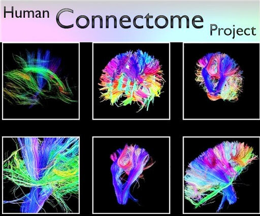 Proyecto conectoma humano (HCP) 2009
