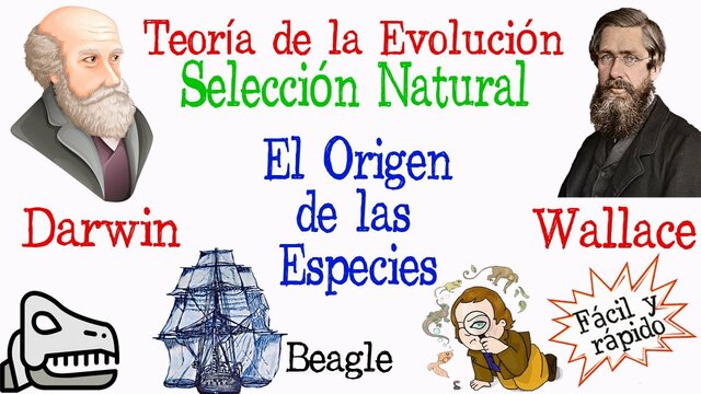 Creación de la teoría de la evolución