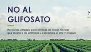 se prohibe el uso de glifosato