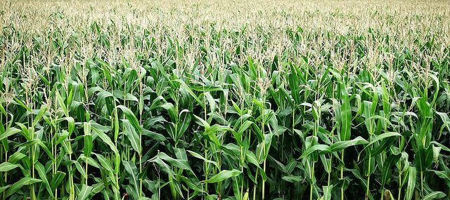 Villages in Mesoamerica